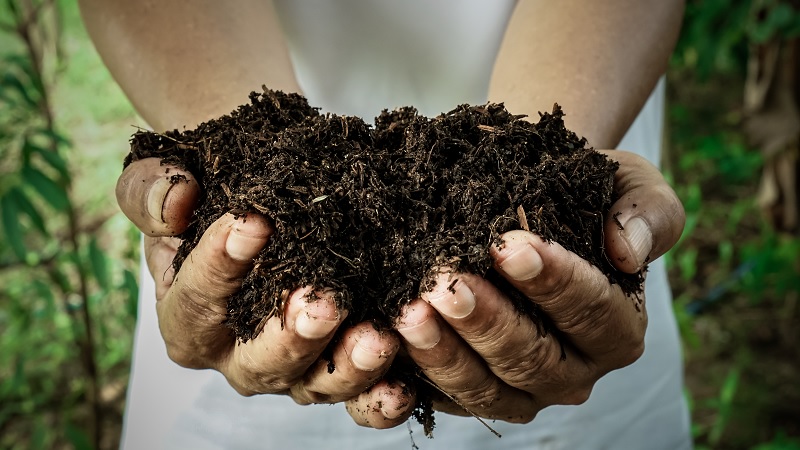 Cos’è il compostaggio